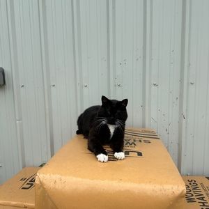 Meet your Posher, Natalie